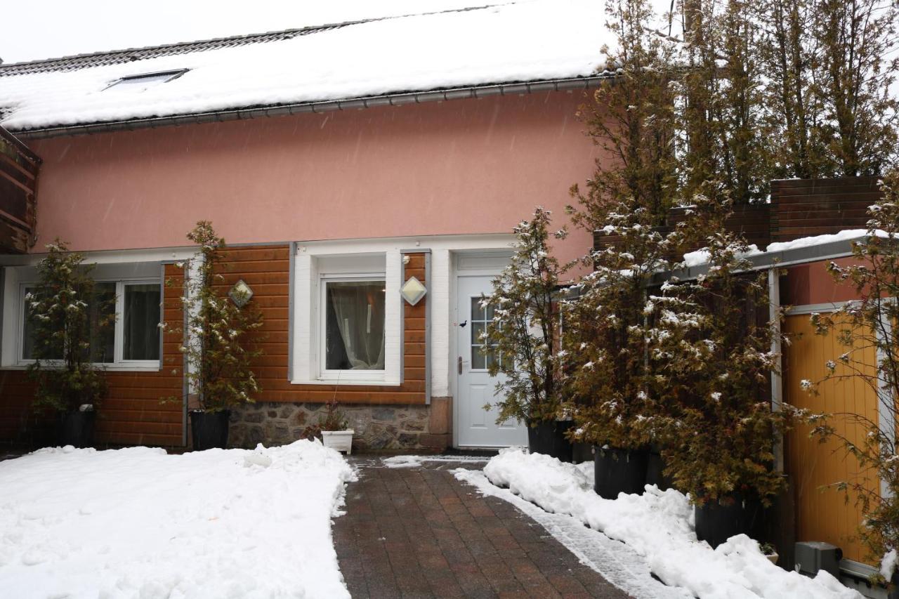Duplex, 2 Sdb, 2 Chambres, Dans Une Impasse En Centre-Ville Gérardmer Eksteriør billede
